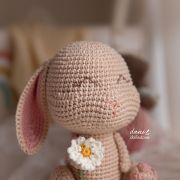 Receita em PDF – Coelho Bolota